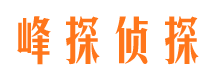 丹棱寻人公司